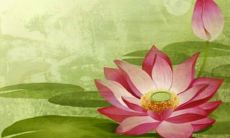 2023癸卯年下半年提车吉利日子查询 宜提车吉日