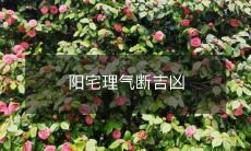 阳宅理气断吉凶