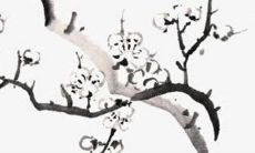 2023年下半年最佳订婚大吉日 订婚好日子查询