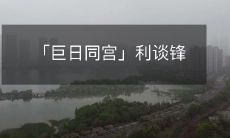 「巨日同宫」利谈锋