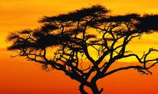 八字看夫妻谁爱谁的口诀