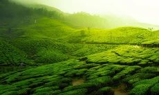 不断改变自己主动学习别人的优点的星座