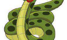 属蛇人2021年的婚姻如何 生肖蛇2021年财运好吗