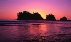 享老公福气得夫宠的女命八字