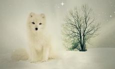 戴轶珉姓名评分68分