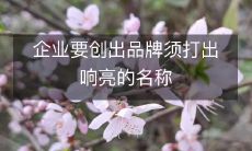 企业要创出品牌须打出响亮的名称