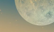 2023兔的生肖年份 时间为2023年2月4日