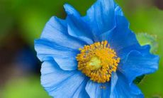 梅梓骄姓名评分80分