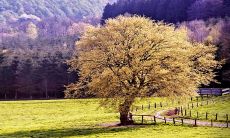 2023冲太岁的生肖 生肖龙害太岁