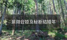 紫微合婚及秘断結婚年