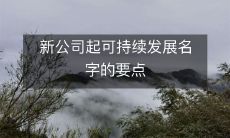 新公司起可持续发展名字的要点