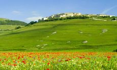 2023年太岁的生肖4大生肖 犯太岁生肖查询