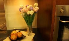 2023年要注意的生肖 生肖鼠运势低落