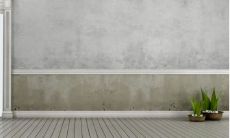 2023年灾难最多的生肖 生肖兔平时要多注意