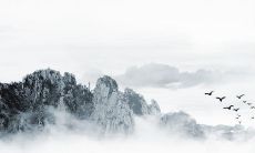 2023年适合结婚的生肖 生肖鼠吉利的结婚年