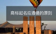 商标起名应遵循的原则