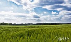 好命的八字特征 命中有大财的八字