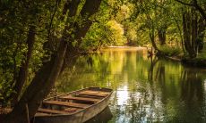 2023犯冲的生肖 生肖鸡和兔冲