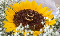 2022年12月15日宜出嫁娶妻吗 农历十一月二十二今日黄历