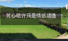 芳心暗许只是情感插曲