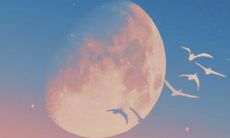 2023年备孕龙宝宝 10月备孕最好