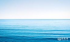 91年2月4日是什么命 农历十二月二十出生命运