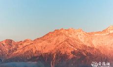 91年2月5日是什么命 农历十二月二十一出生命运