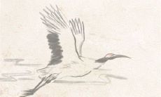 十二生肖小运播报:2023年4月25日特吉生肖一览表