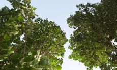 2023年好的生肖 属马的人运势极为不错