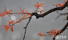 91年8月23日是什么命 农历七月十四出命运