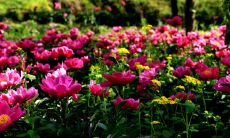 相互抵触彼此看不惯的星座配对