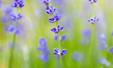 夫妻宫相破婚姻运势如何