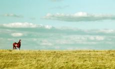 魏勇力姓名评分85分