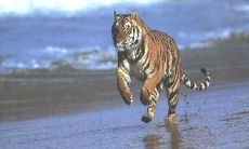 童光森姓名评分91分