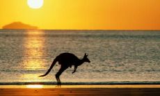 刁昌义姓名评分87分