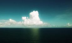 刁秀兰姓名评分81分