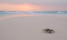 赵刚志姓名评分93分