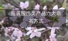 服装服饰类产品六大命名方法