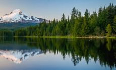 2023兔年最好的生肖 生肖鼠婚后生活极为美满