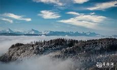 91年2月1日是什么命 农历十二月十七出生命运