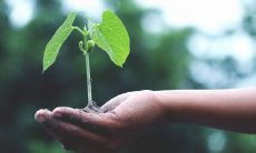 正月初四出生的男孩好吗2023年 生活富足幸福顺利