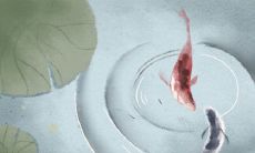 十二星座男生被打的原因是什么?