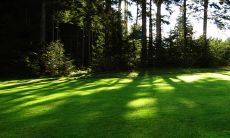 正月初五生女孩好不好2023年 做什么事都充满热情