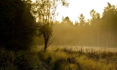 2023年有婚姻的八字 乙丑日柱正缘到来