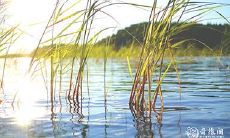 91年8月20日是什么命 农历七月十一出命运