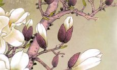 2022虎年10月几号是适合动土吉日吉时 黄道吉日一览表