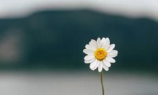 91年8月19日是什么命 农历七月初十出命运