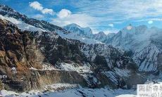 什么植物种在家中可以旺财?风水好