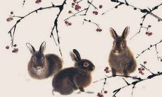 属兔人的婚姻运势如何