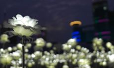 2023年大年初三出生的女孩好不好 待人彬彬有礼